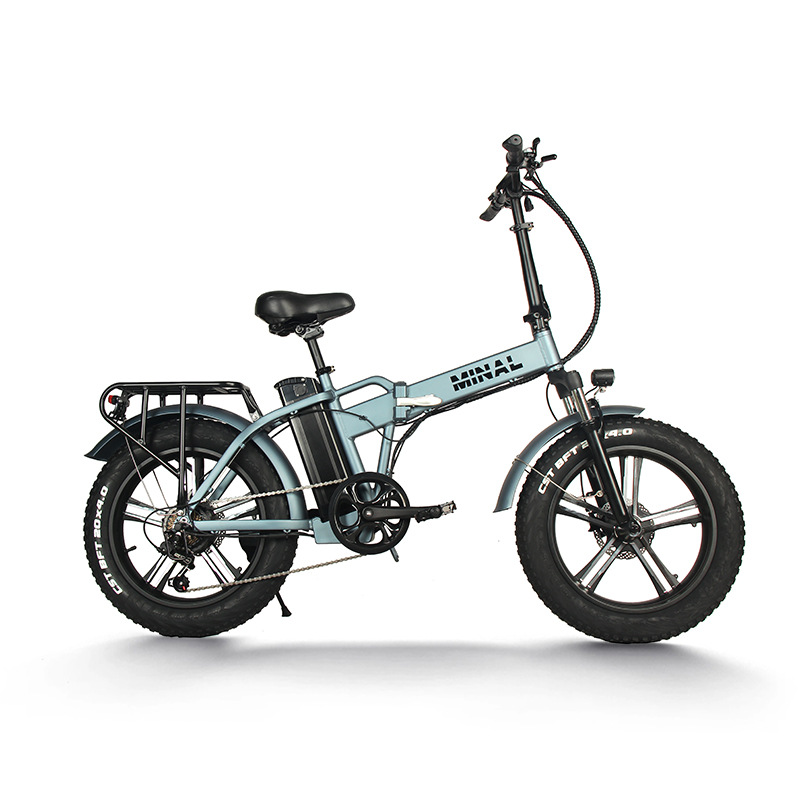 Cycling Gear And Equipment - 48V 350W 10.5Ah FTC200 Elektrische Fiets